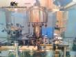 Stainless steel rotary screw filling machine with 9 nozzles Engafbras