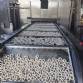 Continuous line dosing dropper with oven for buttered tapioca starch biscuits Forma�o