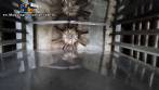 Prime Engenharia drying oven/dehydrator for dehydrating fruits and vegetables.