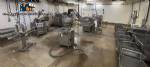 Industrial plant/refrigeration processing plant for deboning and processing meats and sausages.