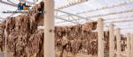 Industrial plant/refrigeration processing plant for deboning and processing meats and sausages.