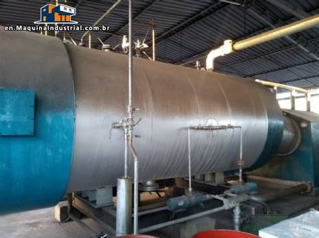 Steam boiler Eonia