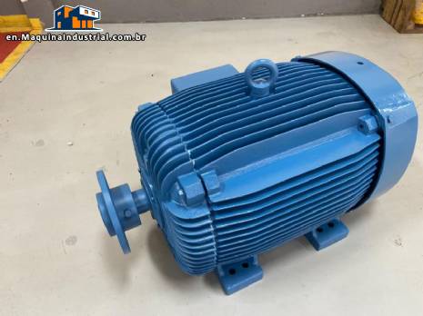 Conventional electric motor WEG