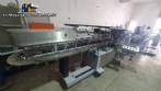 Vertical cartoner Fabrima