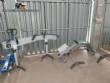Masipack Neife Brapenta can filling line system for powdered products