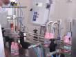 Packing machine Josmaq