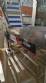 TecnoEnvase TAG 5000 stainless steel vibratory cap feeder and orienter