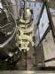 Vinox Zegla rotary filling machine for 1 to 5-liter jerrycans and jugs (retrofitted)