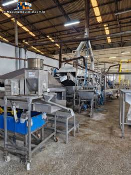 Complete line for potato chips and shoestring fries, MCI 3 tons Complete line for potato chips and shoestring fries, MCI 3 tons