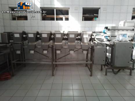 Selector and weigher for Lenke meat cuts Selector and weigher for Lenke meat cuts